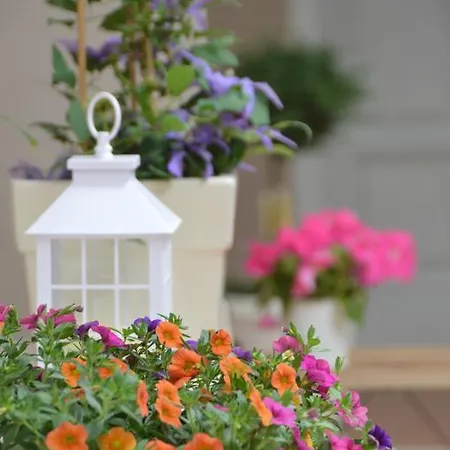 Couette-café Mediterranea Sea House 3*