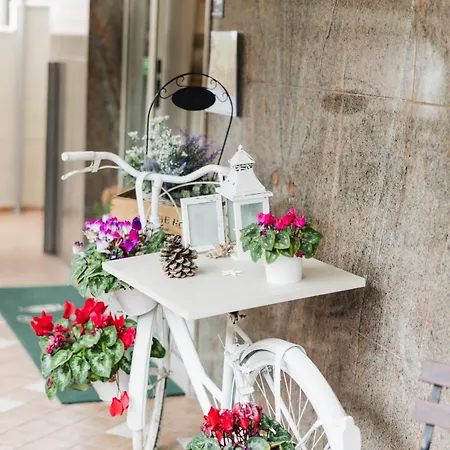 Nocleg ze śniadaniem Mediterranea Sea House Montesilvano Marina